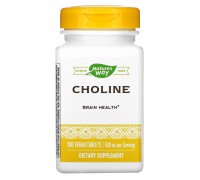 Холін Nature's Way (Choline) 500 мг 100 таблеток