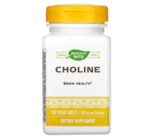 Холін Nature's Way (Choline) 500 мг 100 таблеток