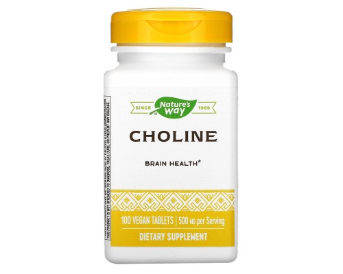 Холин Nature's Way (Choline) 500 мг 100 таблеток