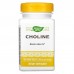 Холін Nature's Way (Choline) 500 мг 100 таблеток