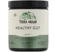 Вітаміни для кишечника м'ята Terra Origin (Healthy Gut Mint) 222 г