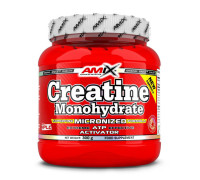 Креатин Моногидрат Amix 300 г 
