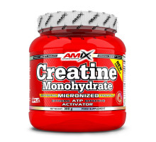 Креатин Моногидрат Amix 300 г 