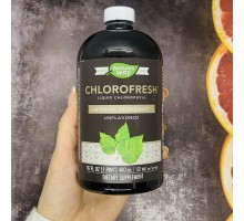 Nature's Way, Chlorofresh, жидкий хлорофилл, без добавок, 480 мл